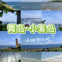 青岛小麦岛游玩攻略🌊海边漫画草坪绝美！