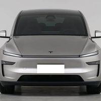 Model_YL后轮塌陷争议未回_车主手册先矮4毫米_售后该给出一条公开检测线