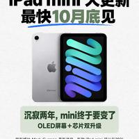 iPad mini重磅大更新|OLED屏幕终于安排上