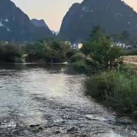 高蛋白低脂蛋白粉怎么选，先核对成品实测与配料表