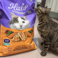  进口天然鲜肉猫粮HALO自然光环呵护肠胃低脂健美全阶段猫咪通用