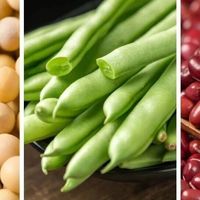 研究实锤每天60克豆制品高血压风险降28%,剂量和品类全攻略