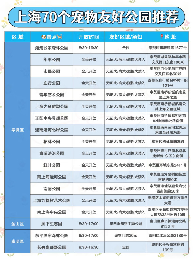 国内度假