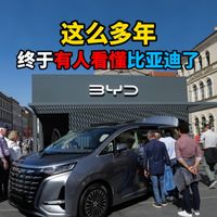 这么多年终于有人看懂比亚迪了