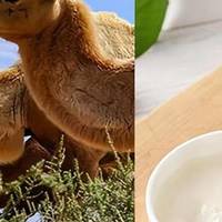 同样叫纯驼乳粉,分别差在哪?