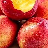 桃子的分类维度与品种特征