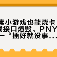 玩个像素小游戏也能烧卡：5090低负载接口熔毁、PNY张口就拒保——“插好就没事”骗了玩家18个月，两万块的车主先把四件事做对