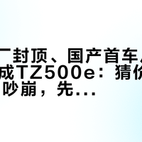 金山工厂封顶、国产首车从ES500e换成TZ500e：猜价25万和55万吵崩，先把"雷车国产"的四层口径拆干净