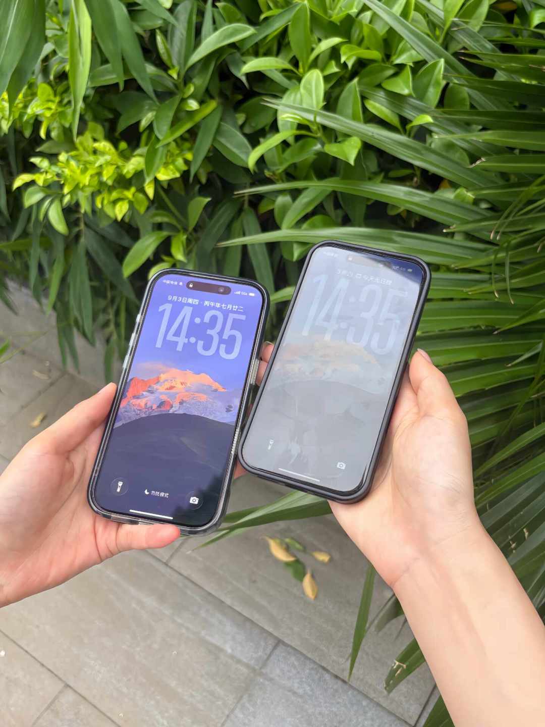 iPhone 18发售前夕，先别急着下单膜和壳：灵动岛缩了、Pro Max厚了1mm，