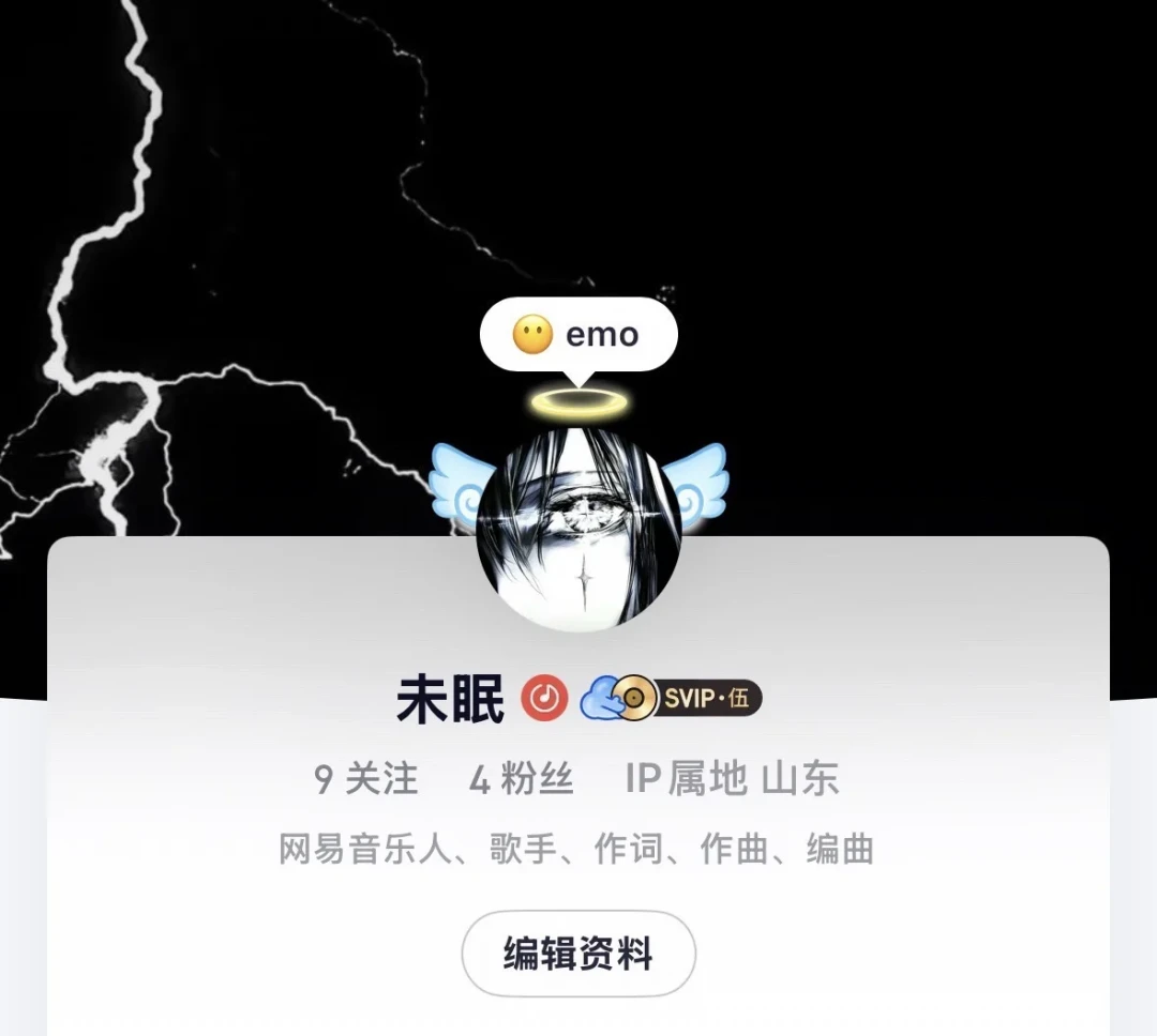 网易云「永久黑胶会员」规则一夜收紧:播放去重、只算本人作品,19块9的代办你还敢上车吗