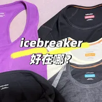 店员的“大一码”和知乎的“小一码”在打架：icebreaker第一单网上买之前，先对完系列、平铺、你身上最合身那件三张表