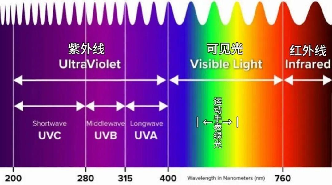 「第一批戴运动手环的受害者」爆了11天:对完果壳的19篇文献、78%的刺激性皮炎、1219赞的晒痕顶评和964条换表带实录,你手腕的白印发痒该换表带、改习惯还是就医,我替你排清了