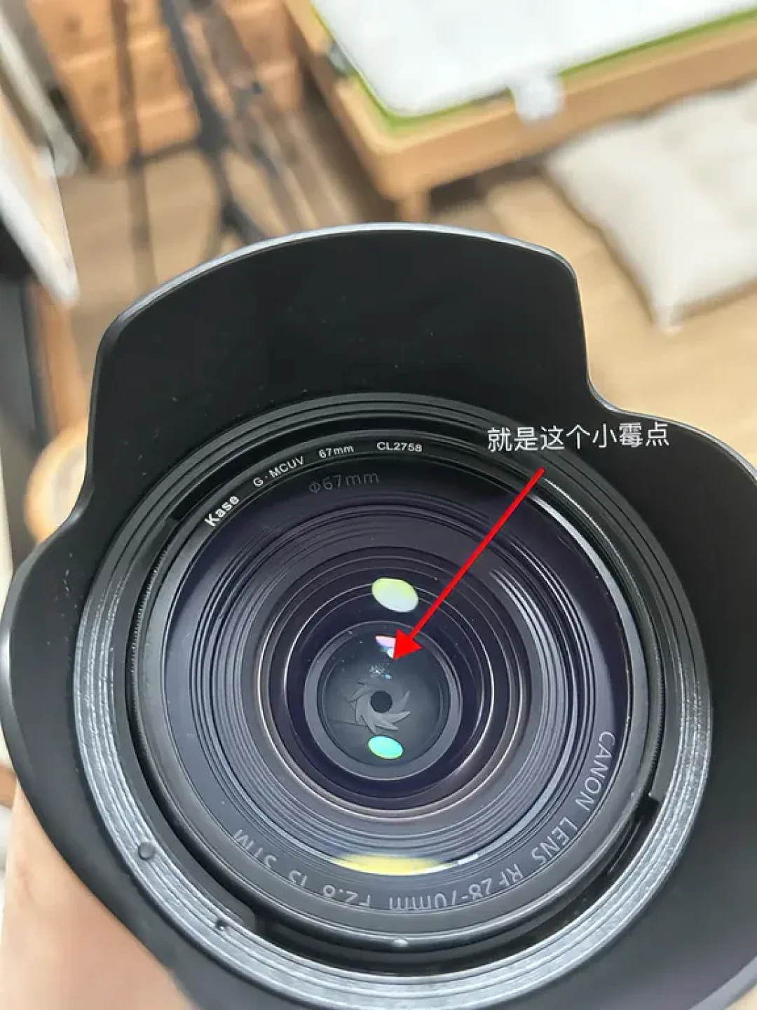蒙皮刚变自费163、保内镜头报价两千多变一千多、进水机报价16080直接出机身——国庆前想送修的器材党,先把这四笔账对清楚