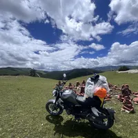 出发前8天，车还没着落：租金900对出1728、托运650和2500两套报价、租一天限200公里——租车、发车、买了卖三条路，我把账全对完了