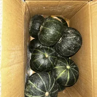 买过三次贝贝南瓜三种口感：3块一个「水得像假货」，9块9的才粉成板栗糕——「水」顶多是交学费，「苦」是毒素信号：吐掉、漱口、整瓜扔；昨天苦丝瓜毒倒七旬夫妇的热搜，这个绿皮小瓜一样适用；买前认准「扁圆带棱、蒂凹、压手」，买回先放阴凉处糖化十天再蒸