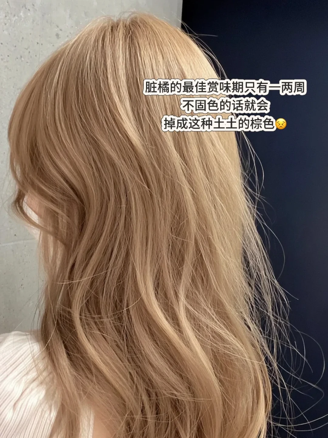 18条翻车实录排下来：去黄、固色、去绿是三种瓶子，下单前先查头发的度数