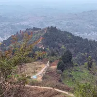竹竿教程被顶6110赞：吵到250万播放的登山杖之争，按你的路线算三笔账就清楚了
