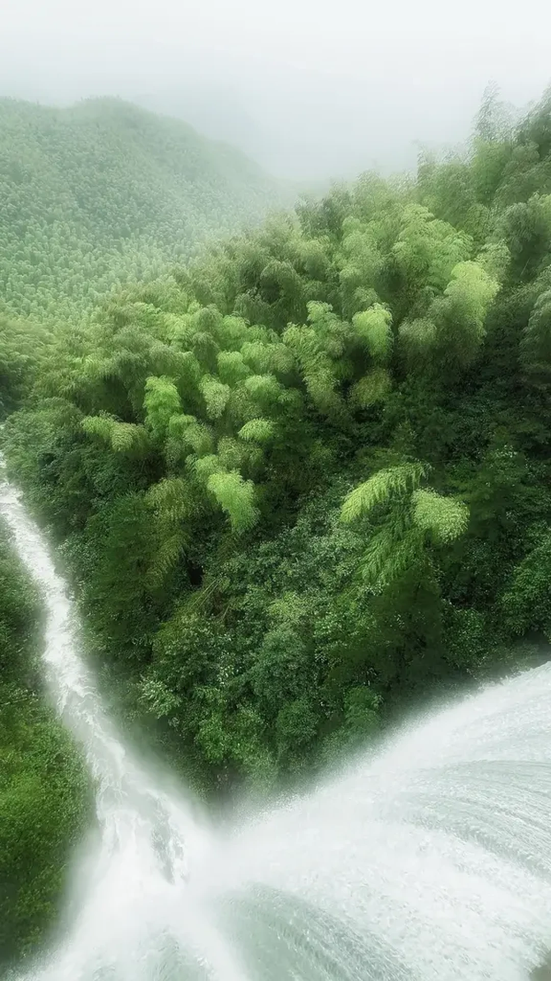 耳机里听了一整年的