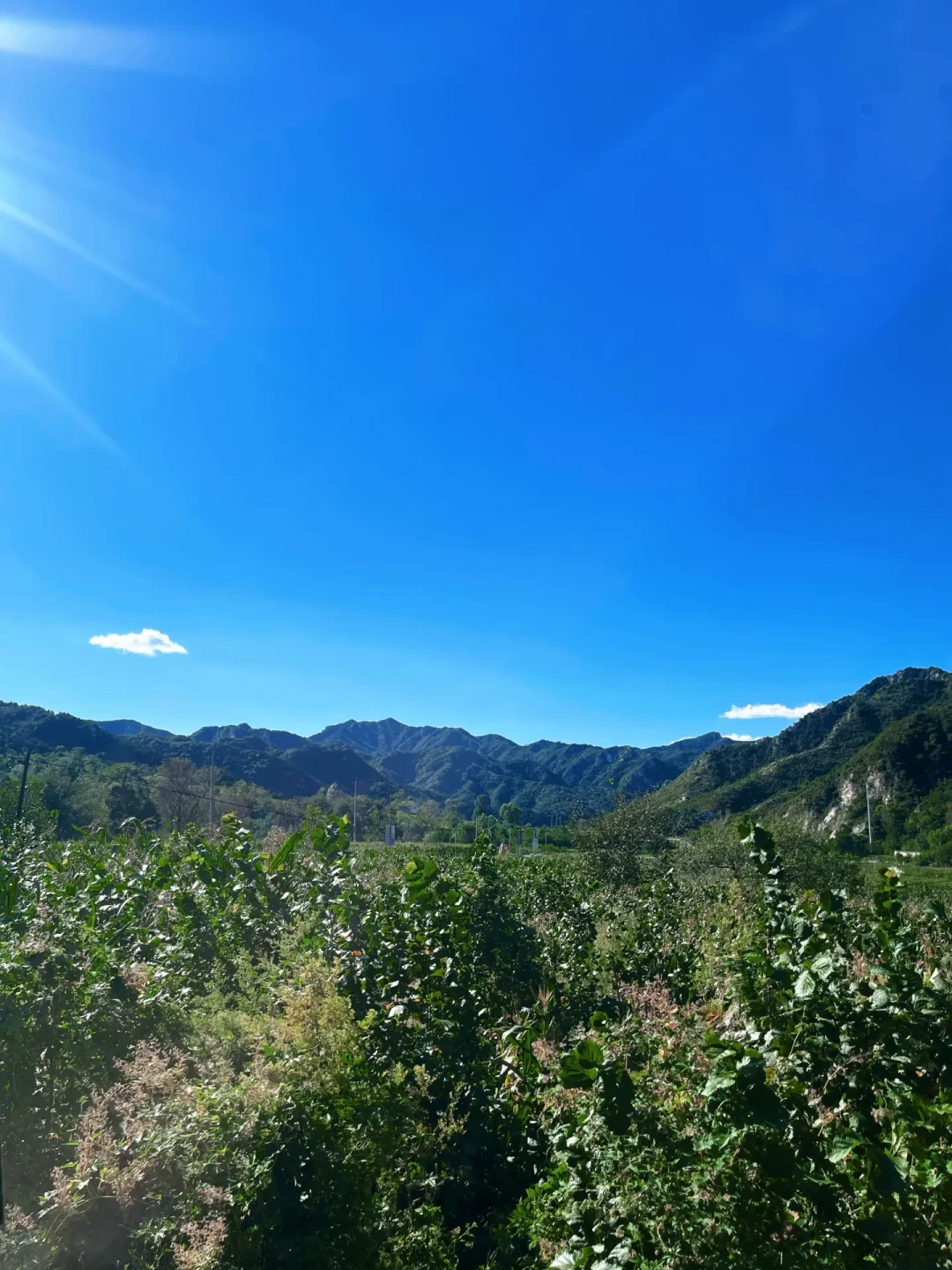 网红跑山路的