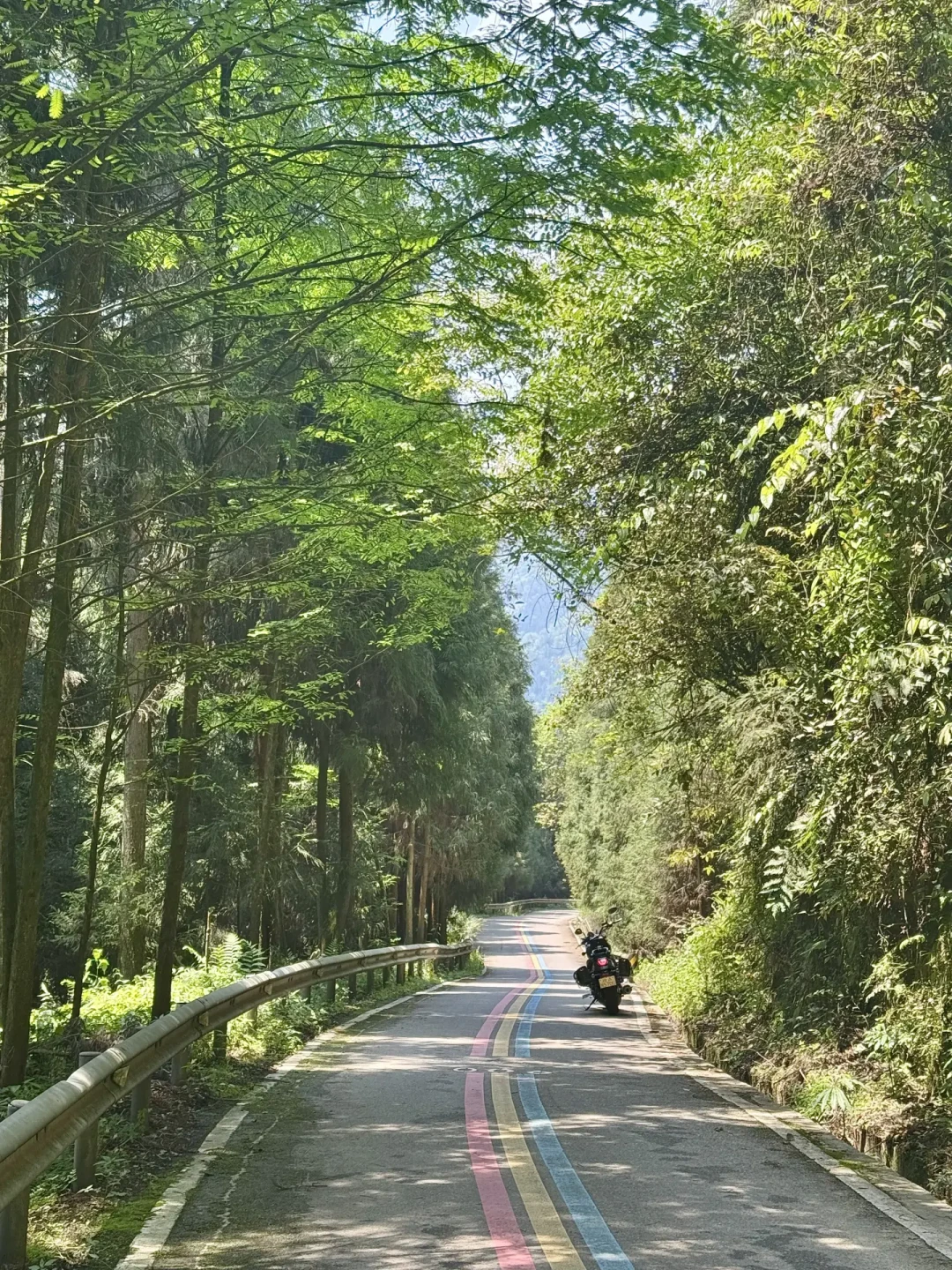 网红跑山路的