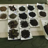 茶圈开始用