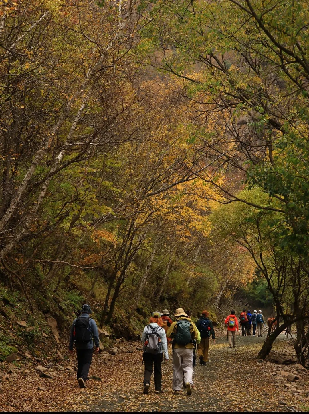 11天7起登山救援、3起带着孩子:你囤的国庆徒步攻略,哪些话是红旗信号