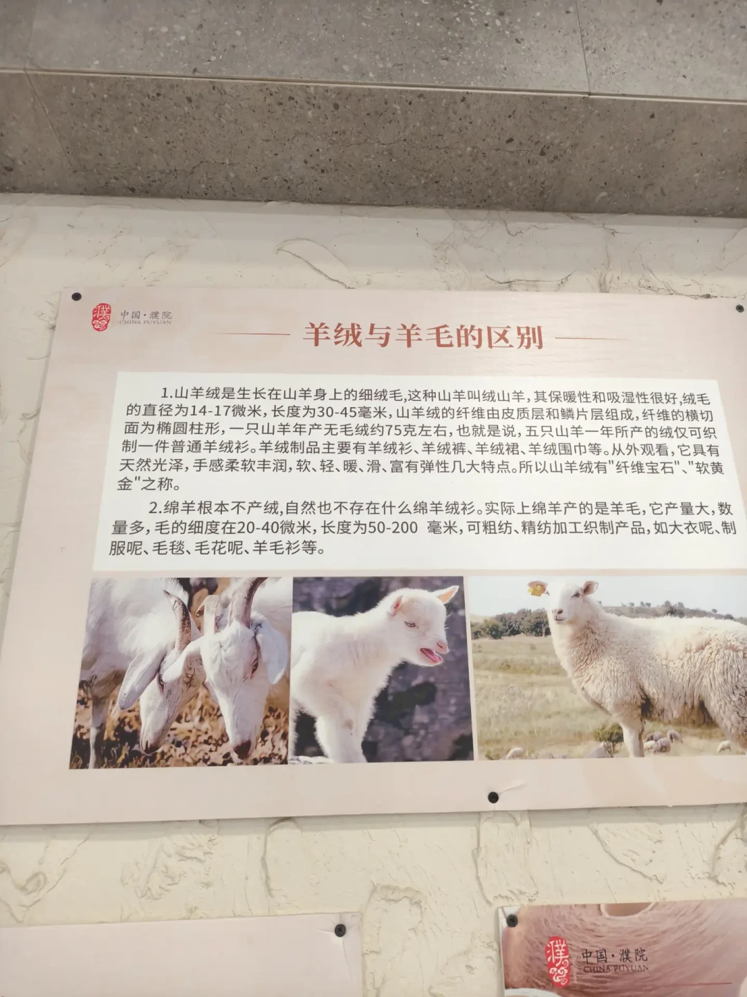 标着100%羊绒,检测出13%:你想靠羊绒衫入门