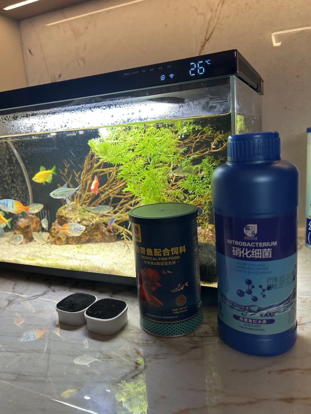 机主拆下小米鱼缸滤盒与滤材实拍