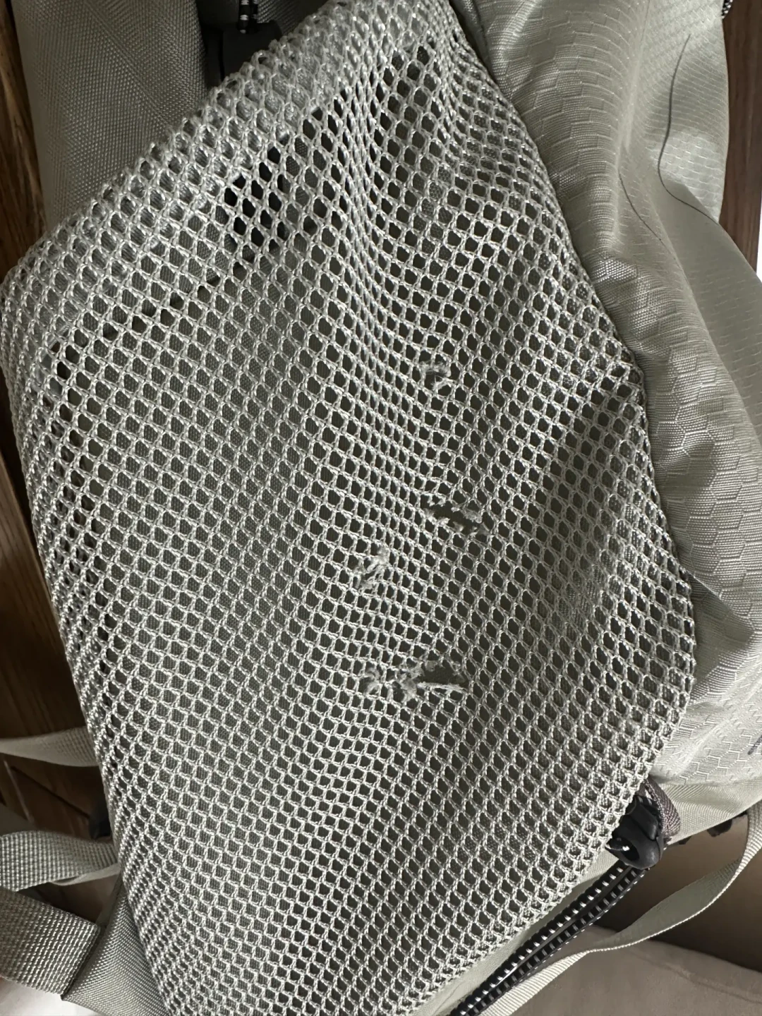 格里高利的