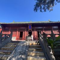 李连杰零片酬拍短剧，热评第一是"行业这么不景气了吗"：《少林寺》44年后，这波"下凡"值不值得看