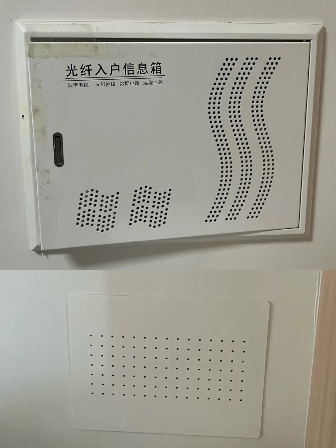 遮电表箱的帖蹲到436条评论,养猫人直接递上一面洞洞板:遮丑和猫墙二合一,这4个口必须留