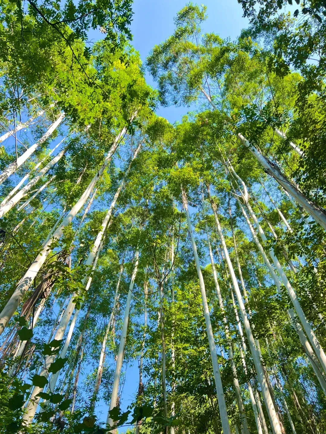 同日两起亲子登山遇险：付了秋季