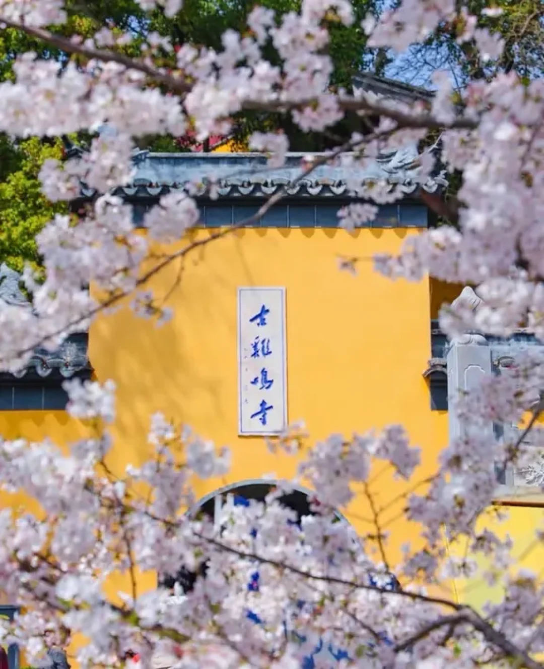 明孝陵店主说