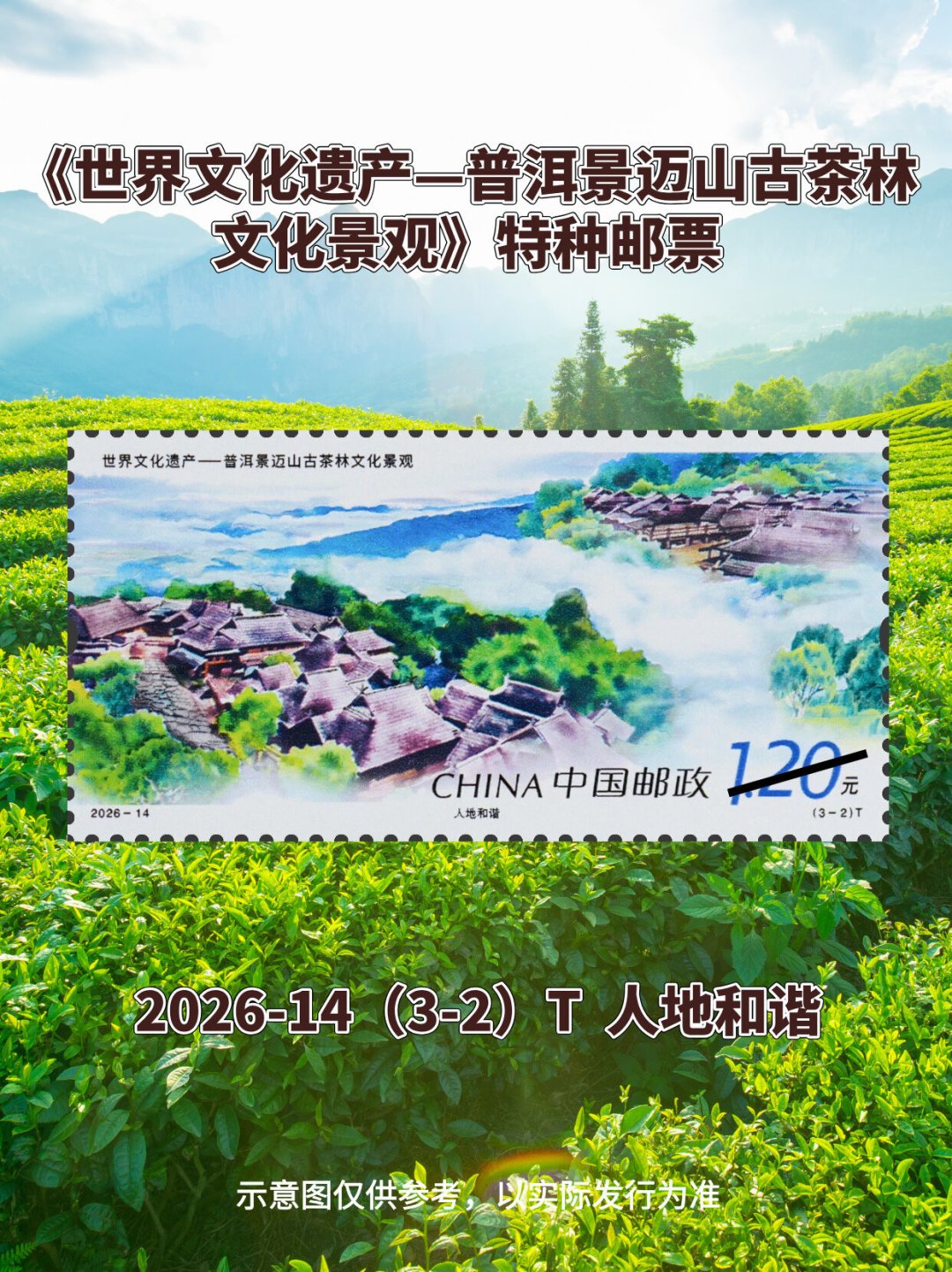 景迈山邮票明天发行:版式二期货喊到25元,套票求购价却破了发——同一套邮票的两张价签,你先看哪张