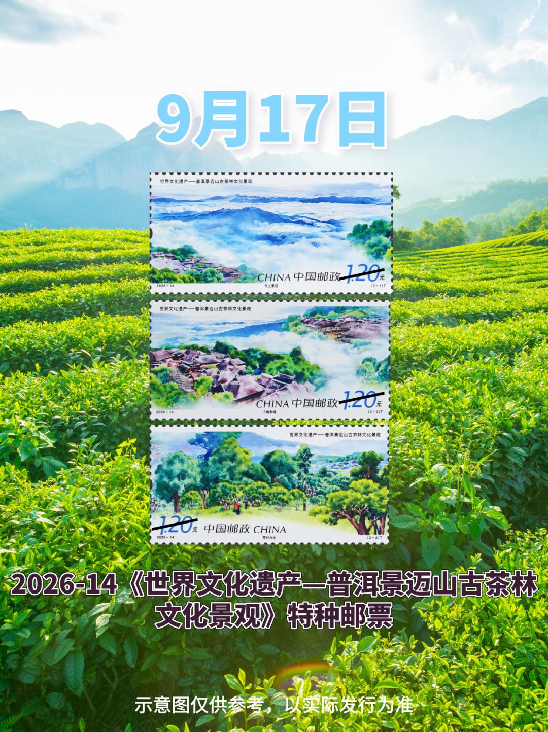 景迈山邮票明天发行:版式二期货喊到25元,套票求购价却破了发——同一套邮票的两张价签,你先看哪张