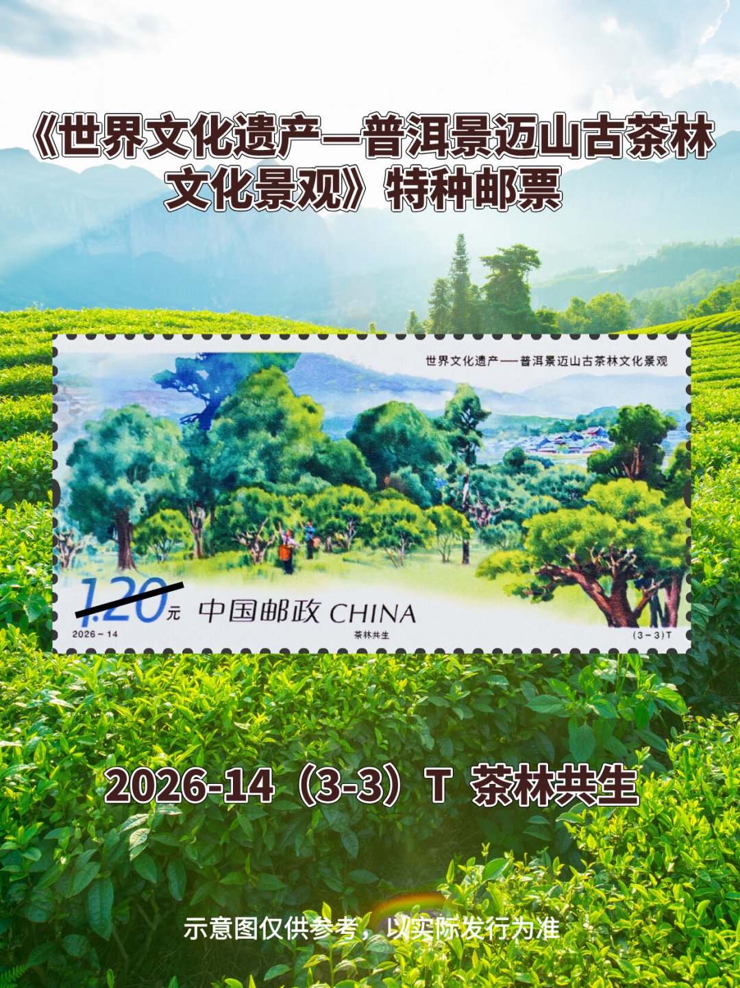 景迈山邮票明天发行:版式二期货喊到25元,套票求购价却破了发——同一套邮票的两张价签,你先看哪张