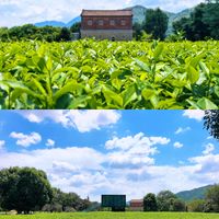 博物馆遛娃、秋日远行 | 亲子游9.17日报