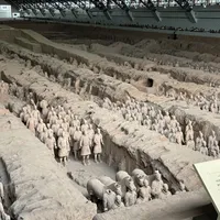 博物馆人工讲解,从人均13元到人均300元:门票之外的第二笔钱,先分清四种"讲解"再掏