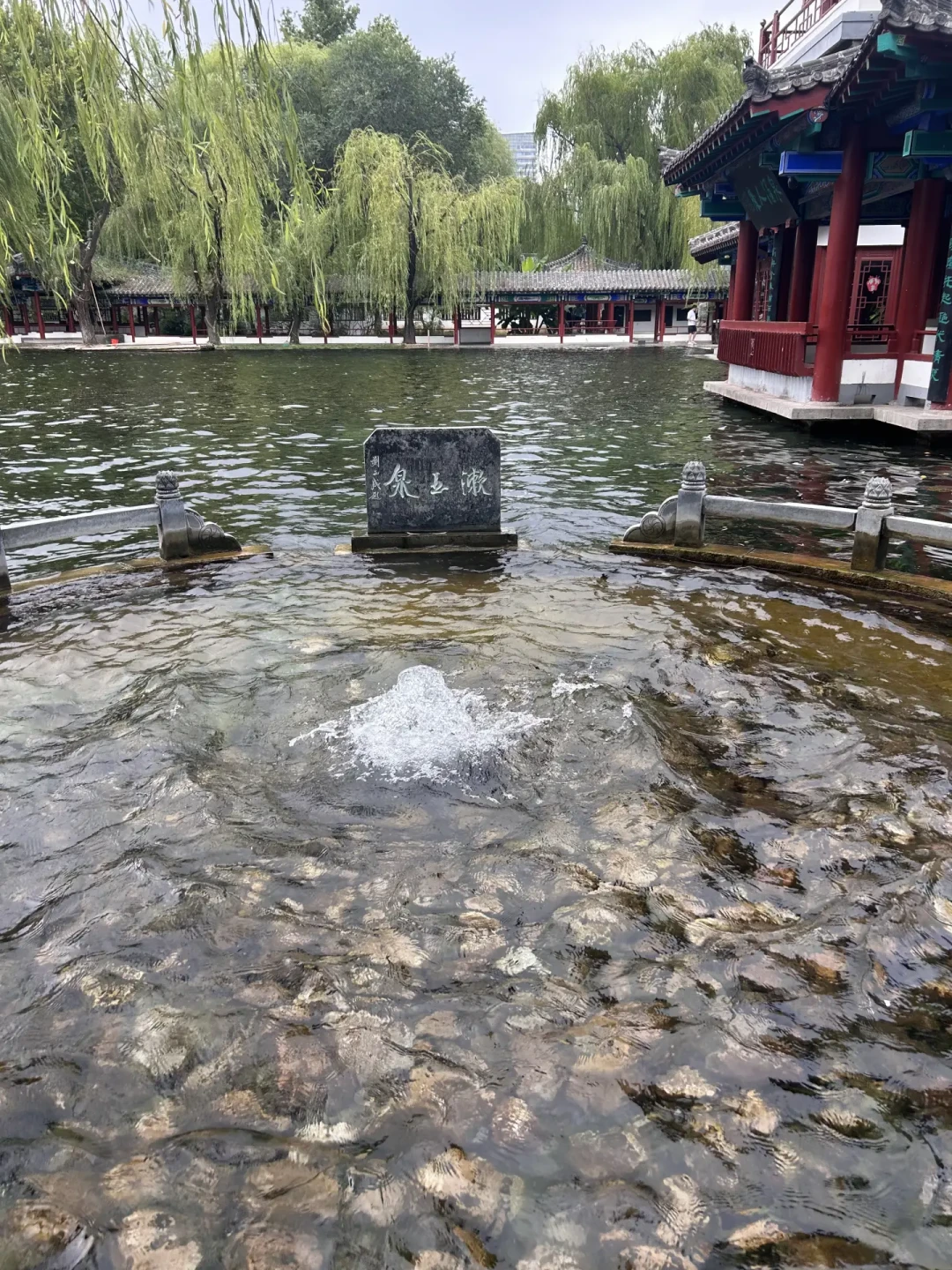 夏雨荷风波四个月后,济南把这个秋天押在了李清照上:明水古城的口碑为什么裂成两半