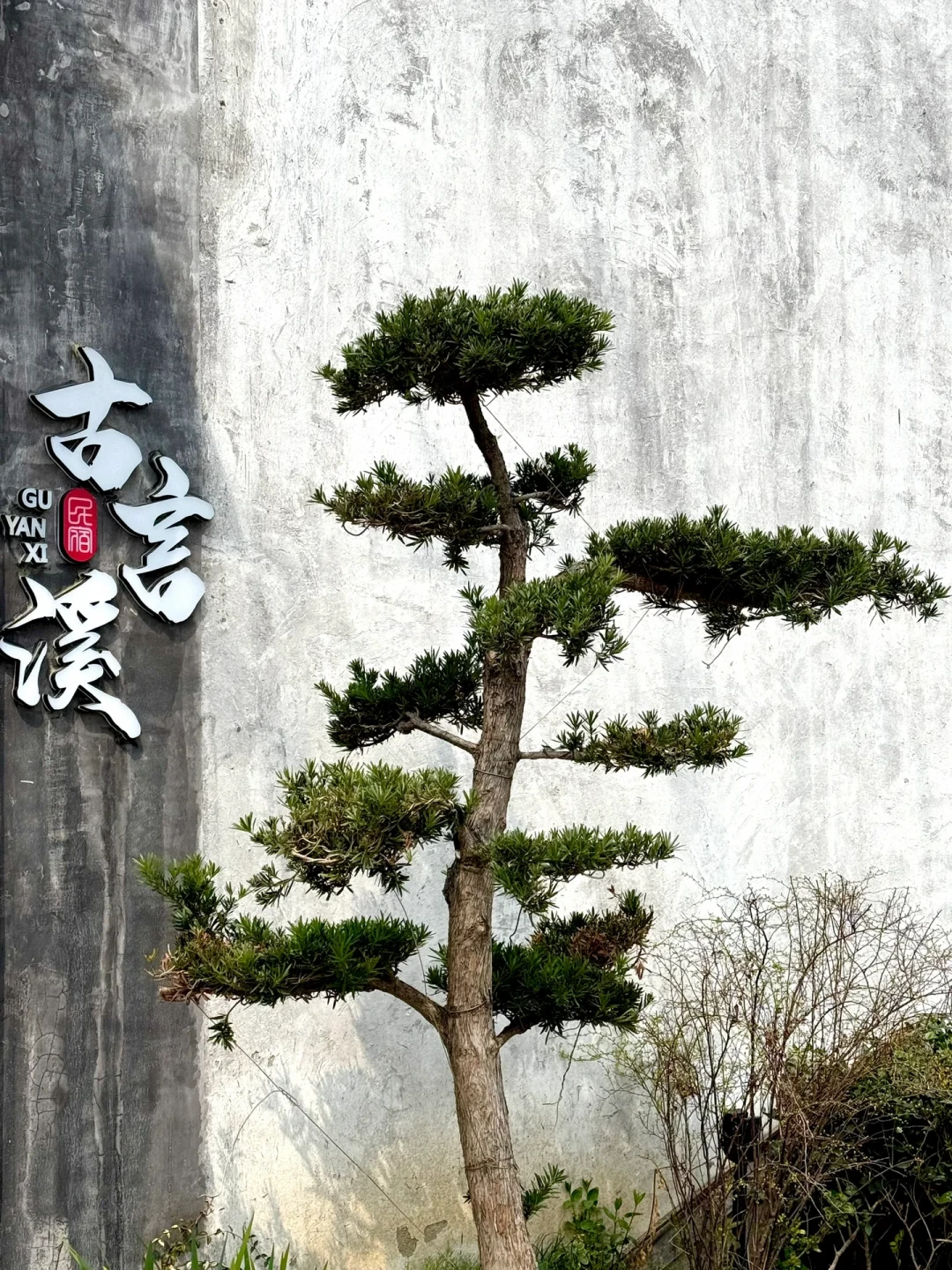 中秋前的禅意出行,先对三本账:亏10亿的仿古城、120元的空场夜游票,和被1万收藏的0元古寺