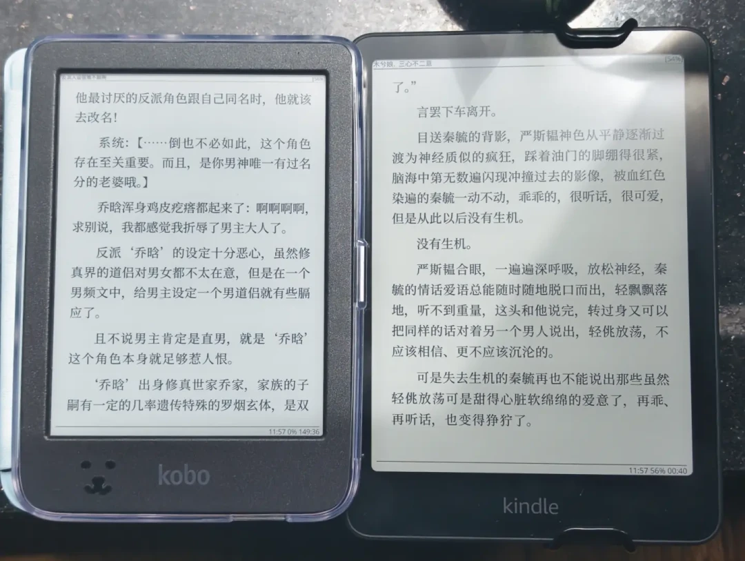 Kindle 用得好好的,要不要为借图书馆的书再买一台 Kobo?——九月这波“图书馆薅书”热,我把 4 个坑和 2 个回本线扒完了