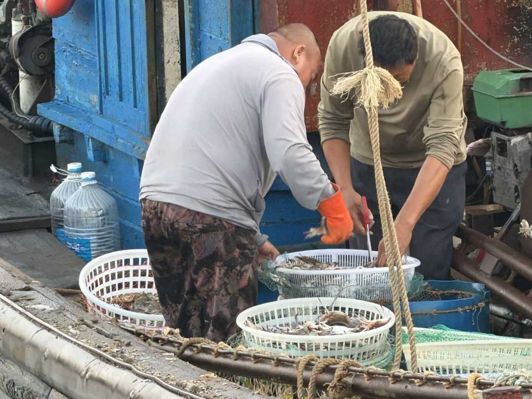 东北开海蟹账本:虾爬子从60一斤跌到20多,但十一买到的35元飞蟹,可能是南方来的货车货