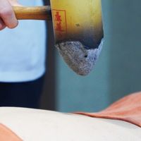 入秋别急着润燥 老师傅让我先祛湿