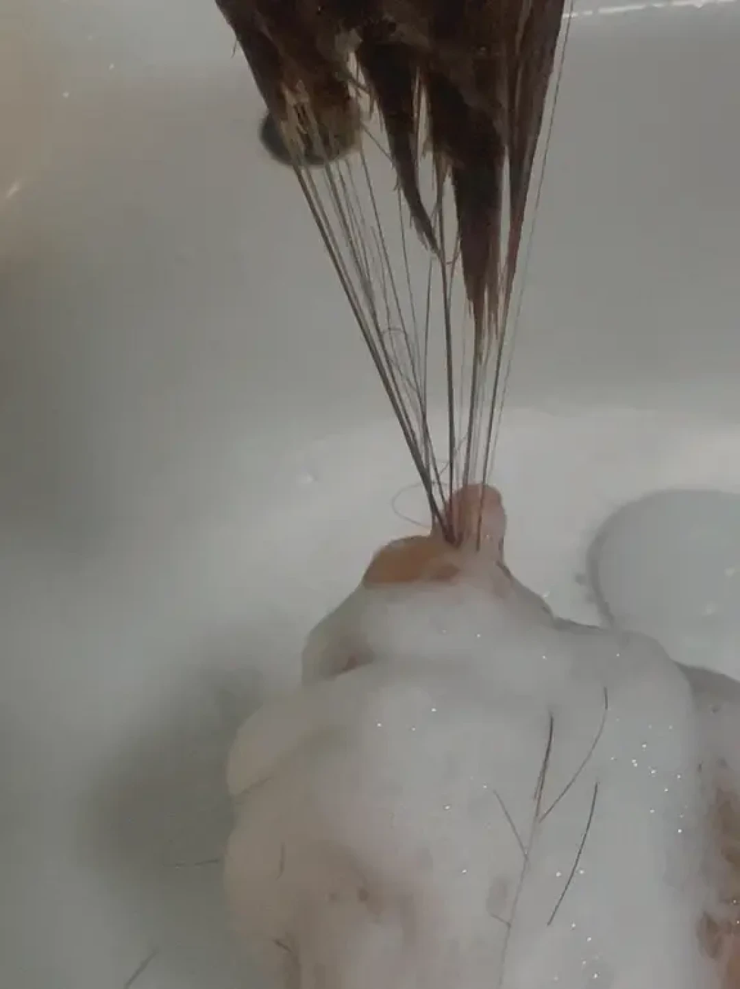 这个月掉的头发，其实几个月前就