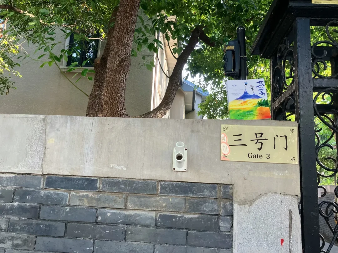 国庆小说巡礼别乱冲:我把全网最火的打卡帖盘了一遍,它们其实分三种