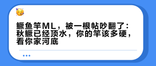 鳜鱼竿ML，被一根帖吵翻了：秋鳜已经顶水，你的竿该多硬，看你家河底