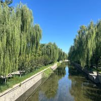 一句"大都等我"吊了33年：这个夏天4K重映的魔教教主，张敏这笔账终于对完了
