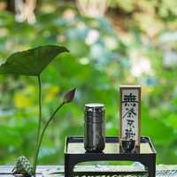 公园赏荷临碧溪，案上品茶伴莲子
