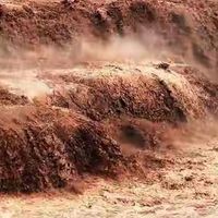 胶原蛋白肽怎么选合理?十款产品从核心含量到剂型体验全面对比