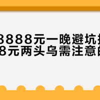 8888块住一晚送一头猪？这笔账算完发现“离谱但好像不亏”
